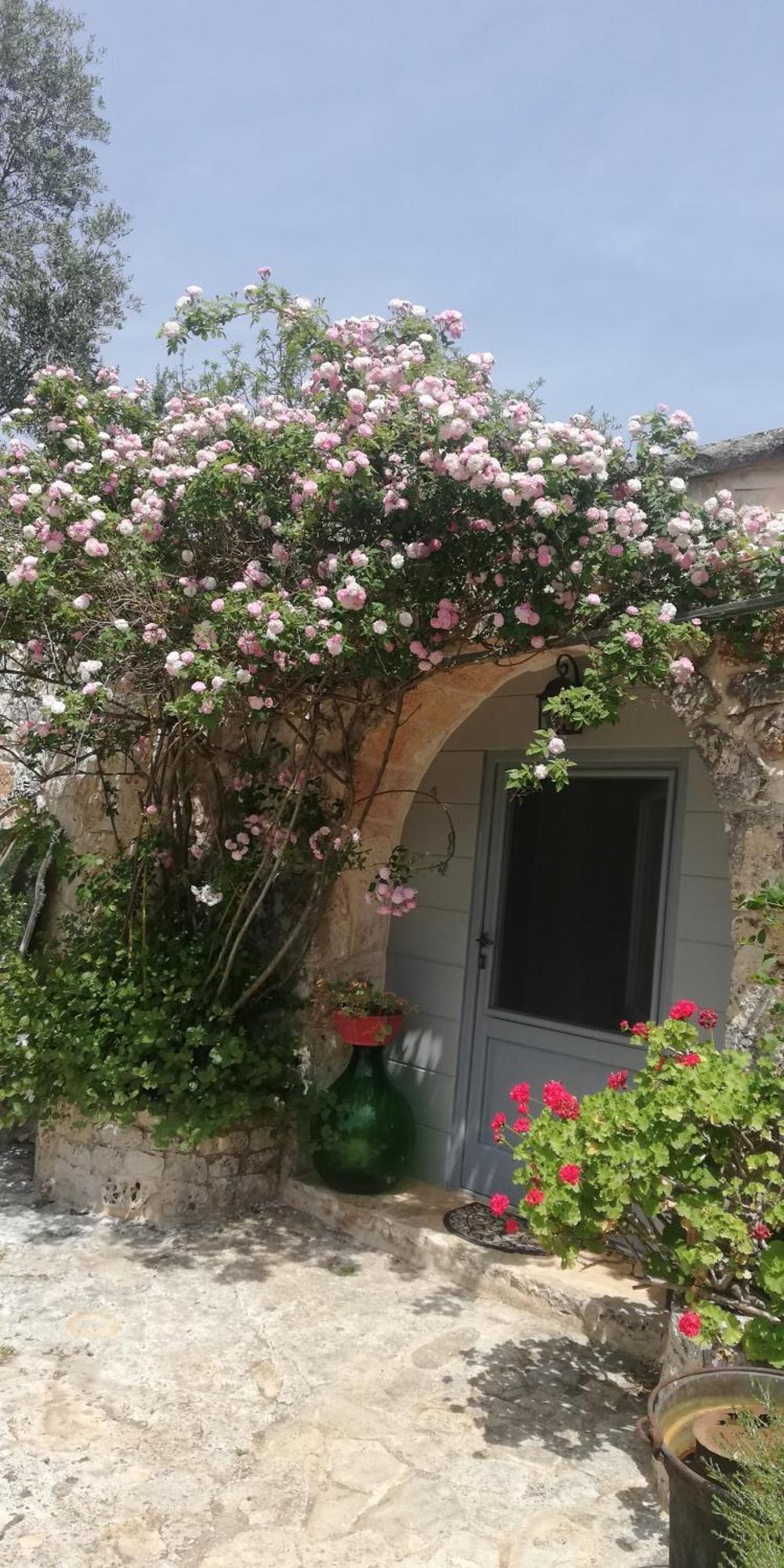 B&B Giovannarolla Green House Ostuni Exterior foto
