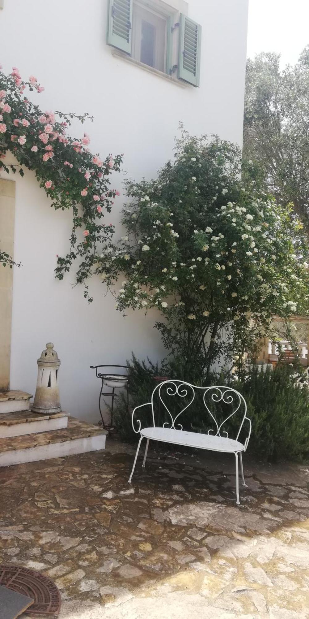 B&B Giovannarolla Green House Ostuni Exterior foto